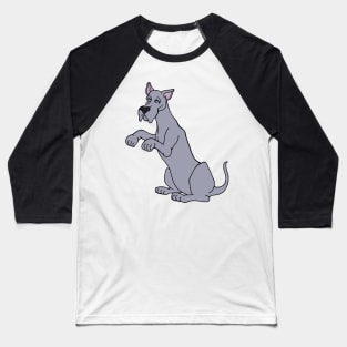 Gray Begging Great Dane Dog Baseball T-Shirt